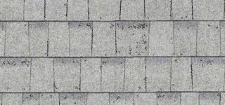 Shasta White shingle